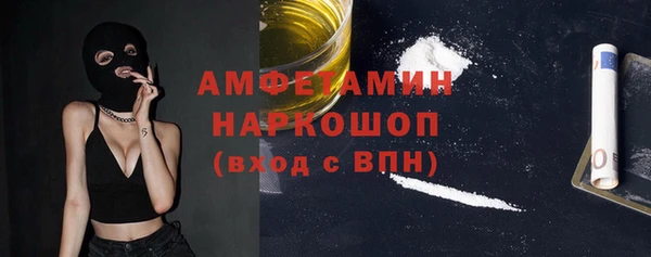 индика Михайлов