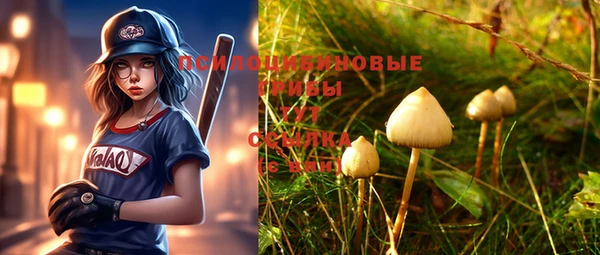 спиды Домодедово