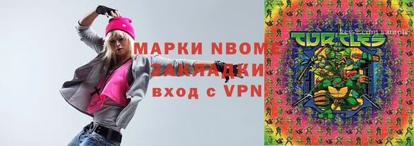 индика Михайлов