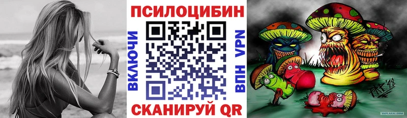 Галлюциногенные грибы GOLDEN TEACHER  даркнет сайт  Чудово 
